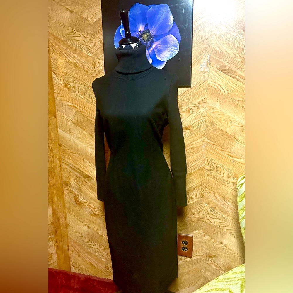 Black Turtleneck Dress 🕊️🖤